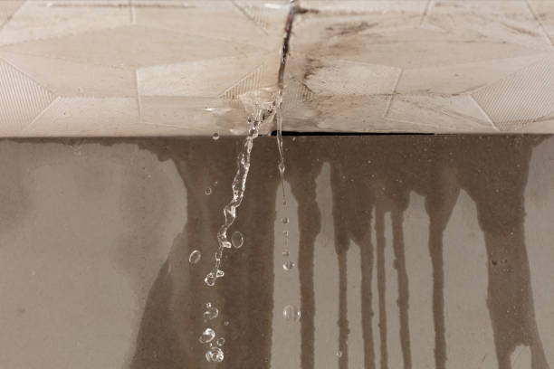Professional Water Damage Repair technician working in Kendalia, TX